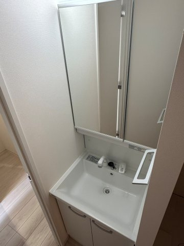 ベルグレード浅草DUEの洗面所