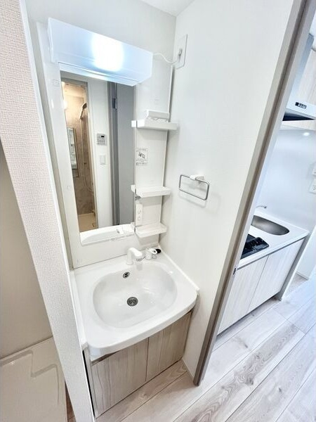 S-RESIDENCE金山flap(フラップ)の洗面所