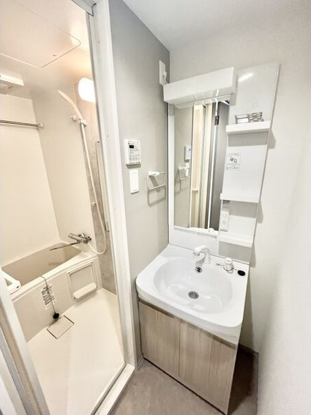 S-RESIDENCE金山flap(フラップ)の洗面所