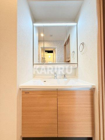ハイラインⅤの洗面所