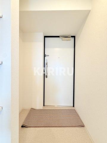 ハイラインⅤの玄関