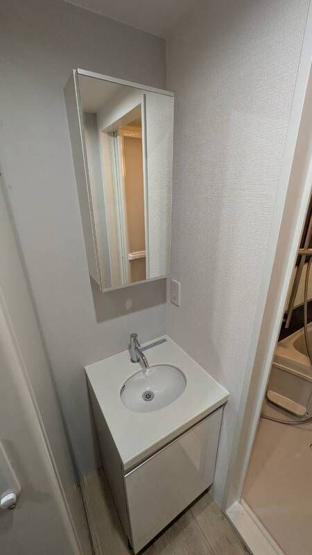 プラチナフォルム中延ＥＡＳＴの洗面所