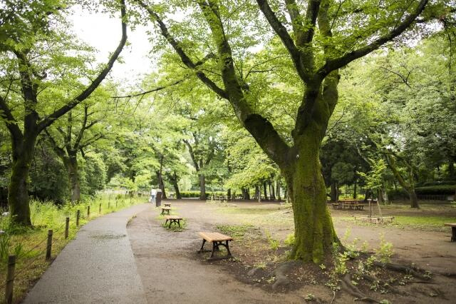 善福寺公園まで488m