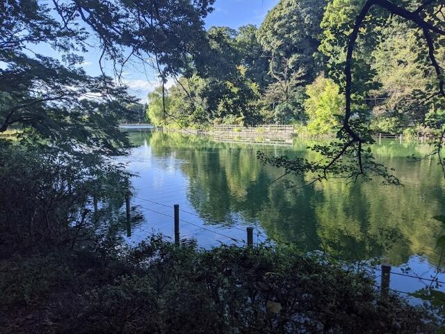 都立善福寺公園まで699m