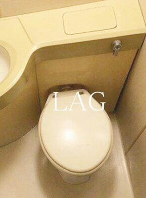 【トイレ】 | リバーハイツ小林 | トイレです。