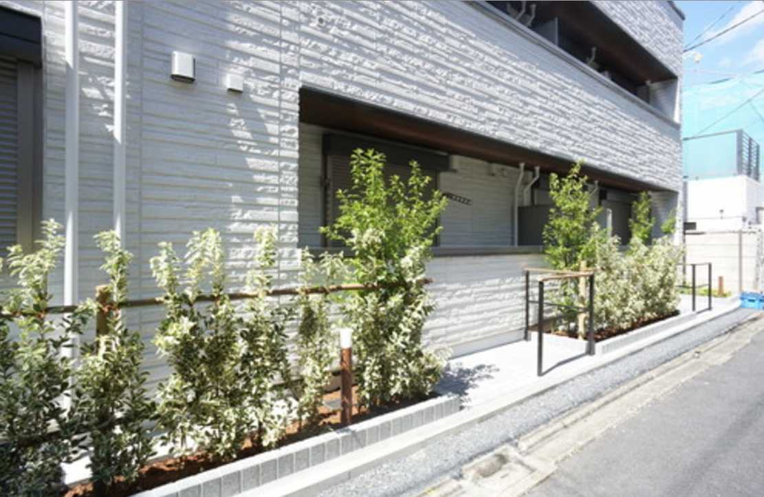 ラフィーネ恵比寿　ネット無料　シャーメゾン　角部屋のエントランス