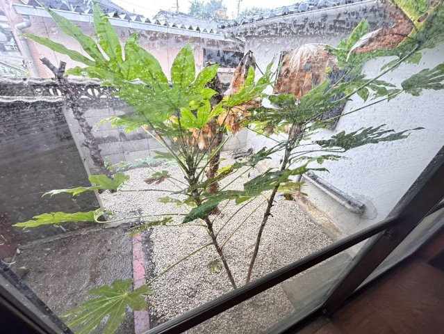常滑市原松古民家の外観