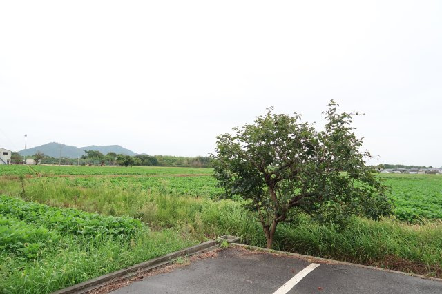 蒲生郡竜王町須恵　一棟アパート（寮）の展望
