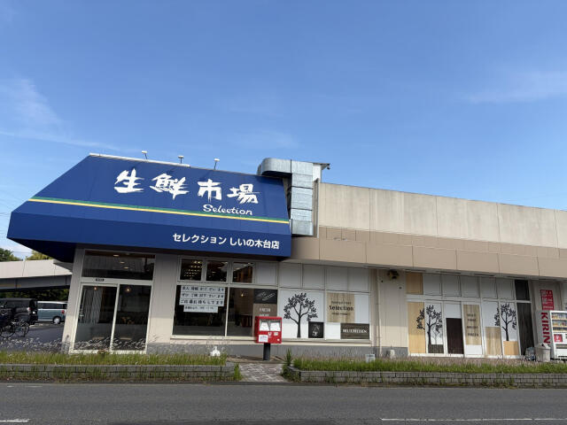 ブルーミングガーデン　柏市南逆井２丁目１棟／１期１号棟の周辺|セレクションしい…まで1400m