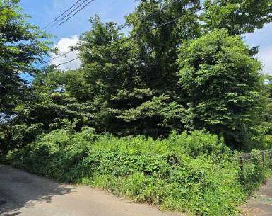鎌ケ谷市初富の売地の周辺