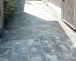 ライフ・コート錦のエントランス