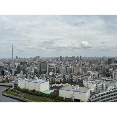 リバーシティ２１イーストタワーズⅡの展望
