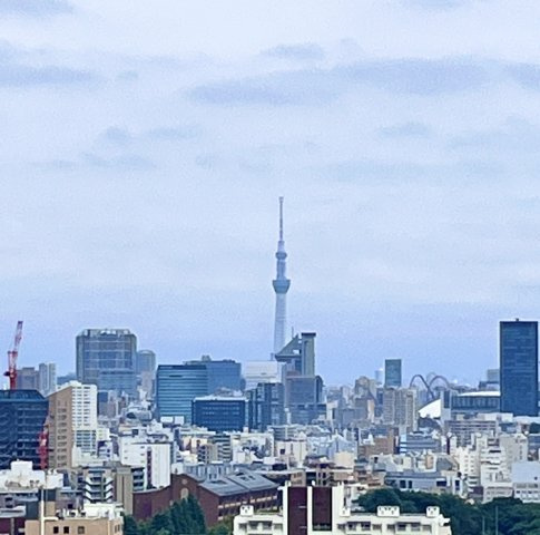 【展望】 | 西戸山タワーホウムズノースタワー