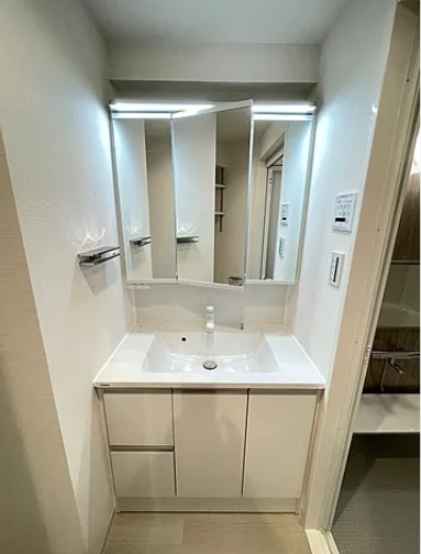 北区中十条４丁目の賃貸マンションの洗面所