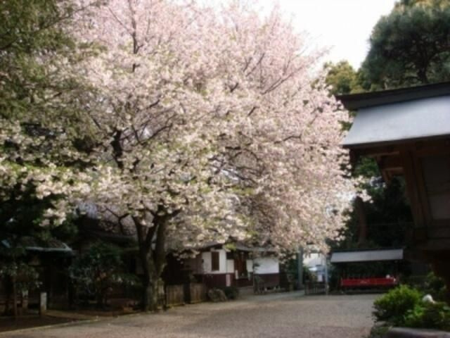 グレイスみかどのその他