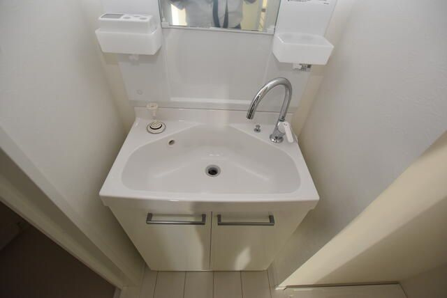 ザ・テラス滝野川の洗面所