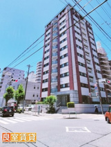 YZ mahorobaの画像