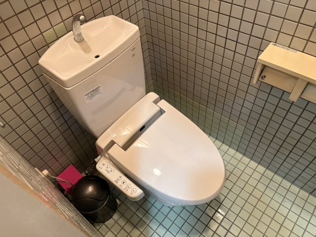 レオハイムスギのトイレ
