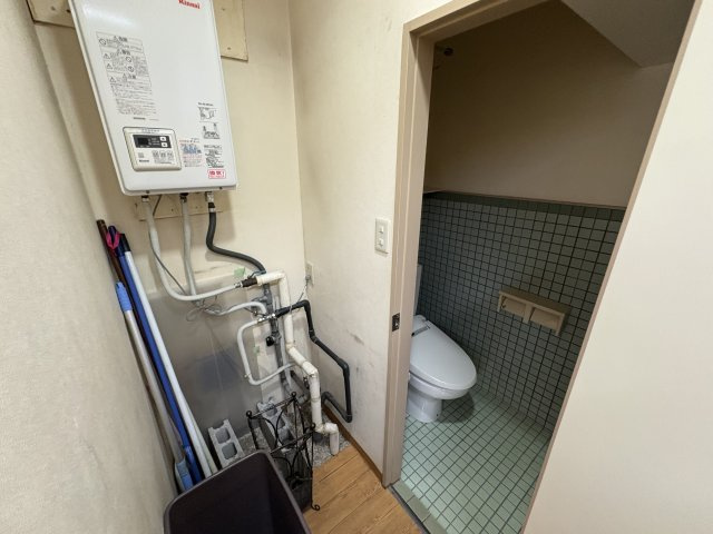 レオハイムスギのその他