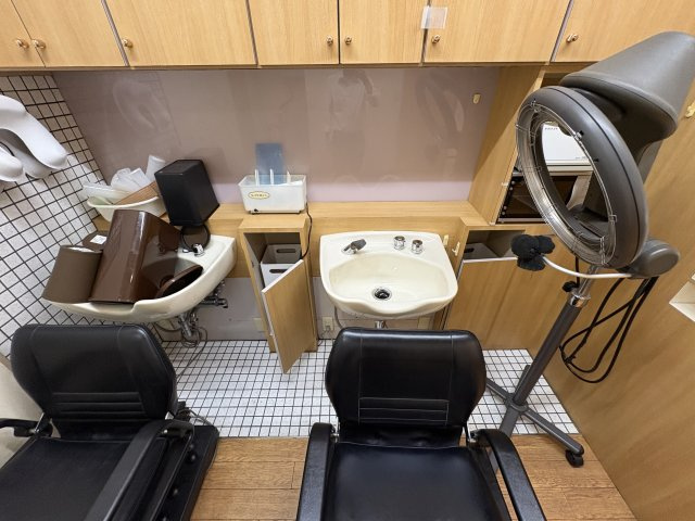 レオハイムスギのその他