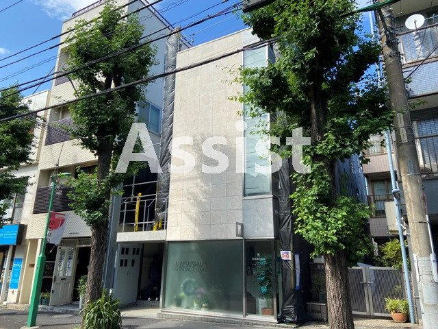 Ginkgo Ave
