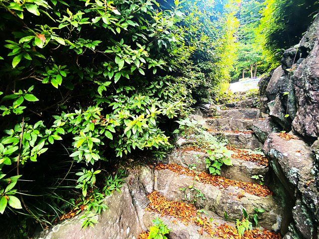 伊東市 吉田戸建の周辺