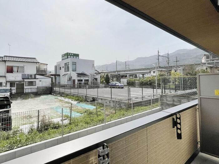 カノン蓮池の展望