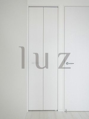 ルミード川崎の収納