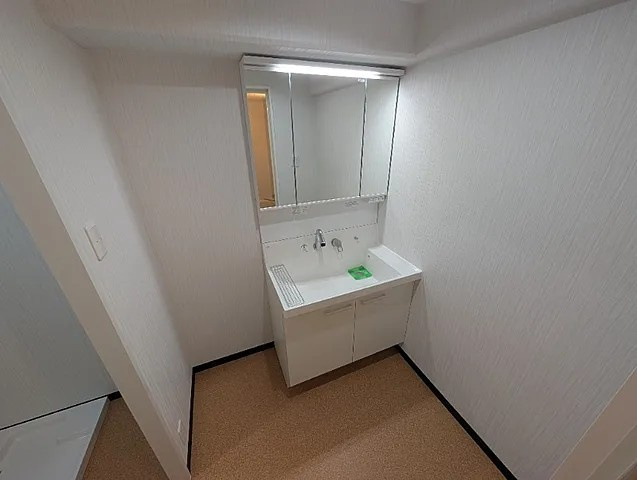 ハイムあじさいの洗面所