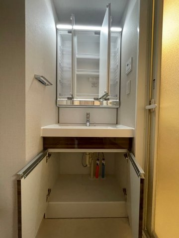 DIPS成増の洗面所