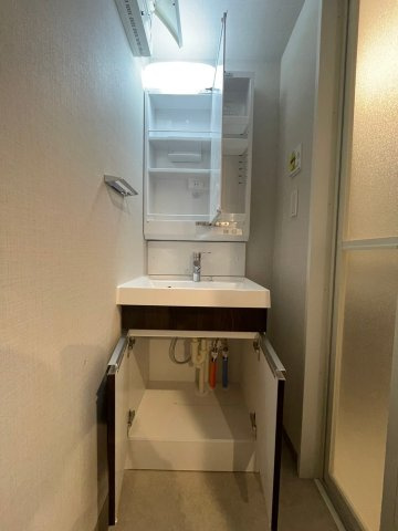 DIPS成増の洗面所