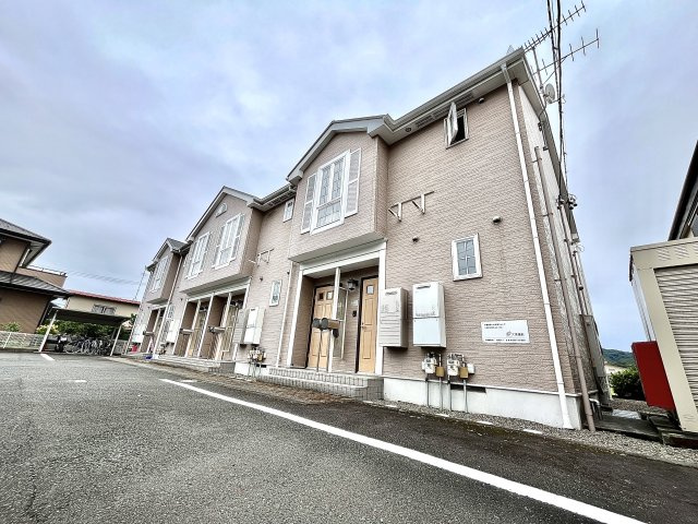 ラベンダー