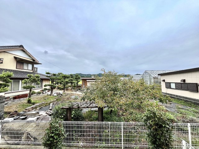 ラベンダーの展望
