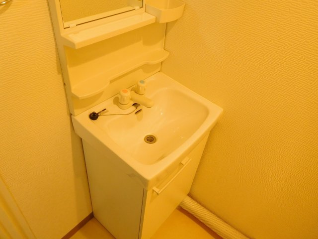 コーポ高木の洗面所
