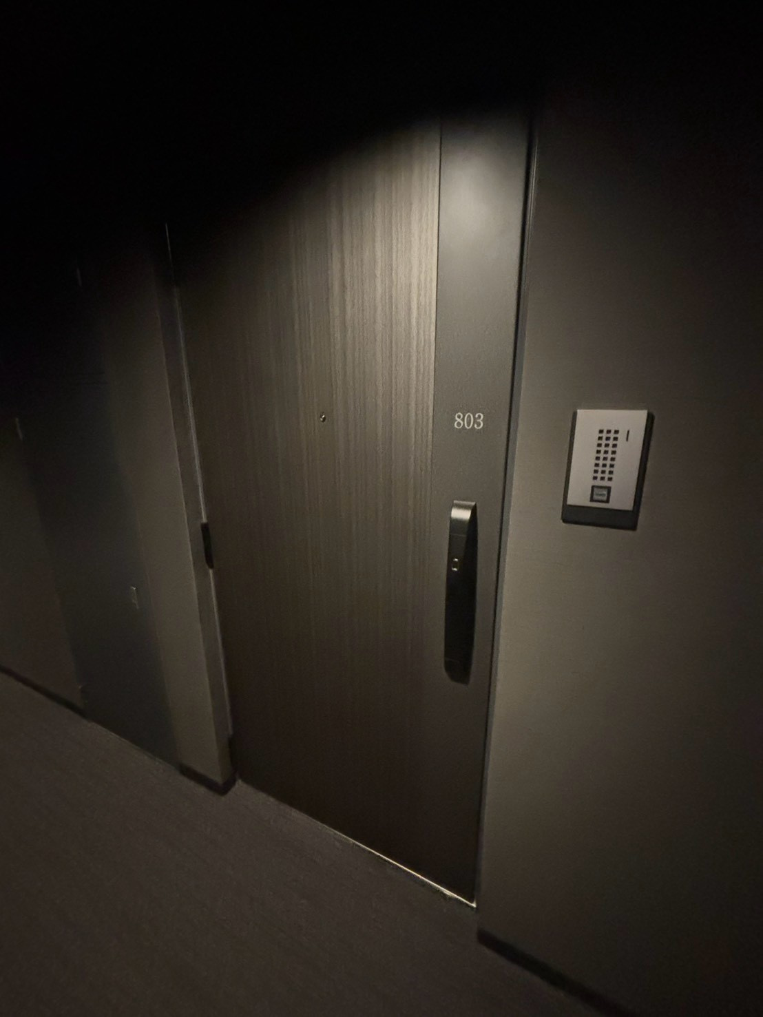 S-RESIDENCE新宿早稲田avelisの玄関