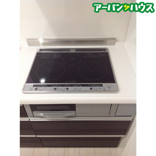 Ｓｏｕｔｈ　Ｗｉｎｇのその他