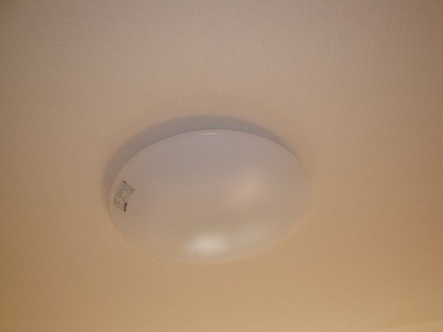 パームヒルズのその他|照明器具