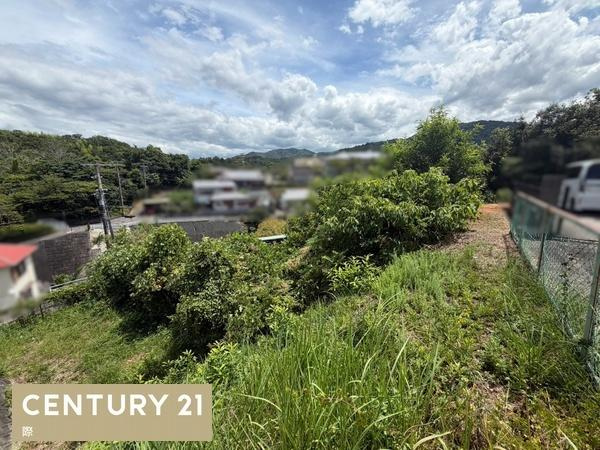 海南市阪井　土地のその他