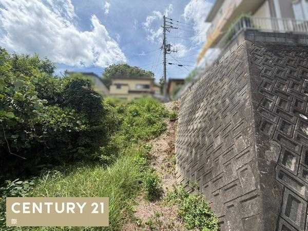 海南市阪井　土地のその他