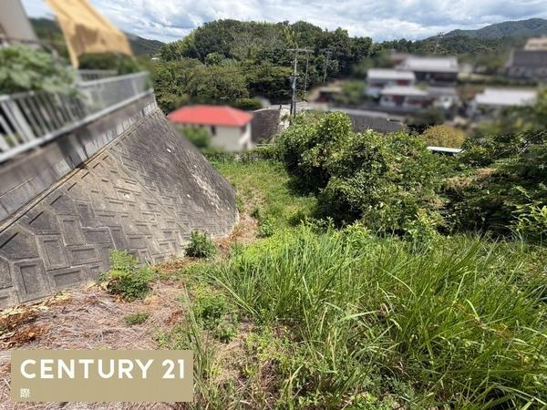 海南市阪井　土地のその他