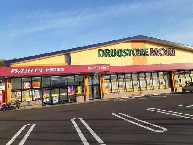 グレース・カーサ　２番館　Ａの周辺|ドラッグストアモリ新浜郷店まで950m