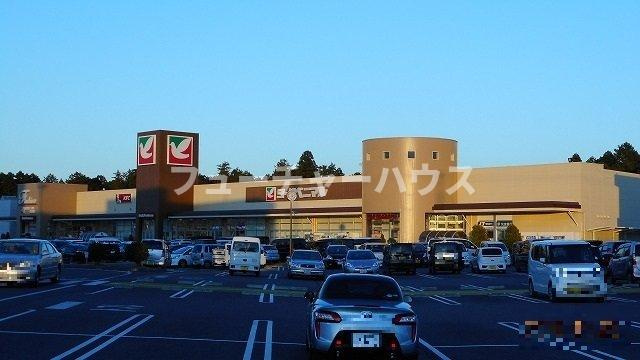サンクレストの周辺|ヨークベニマルまで1000m