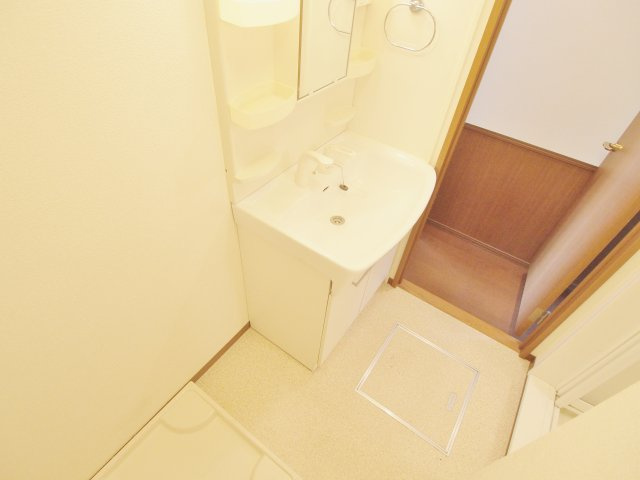 ウイングMISAWA VIの洗面所