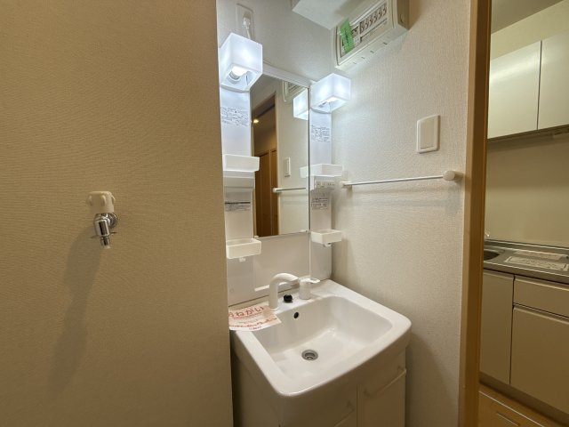 プラシード三宅の洗面所