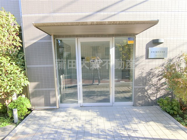 プリムローズの外観