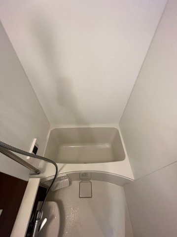 エステムコート中之島GATEⅡの浴室