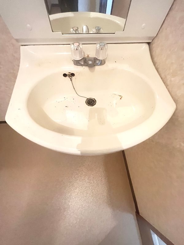 ロイヤルコート山本通の洗面所