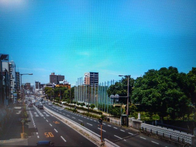 アンビエント住吉公園の展望|現地周辺の様子