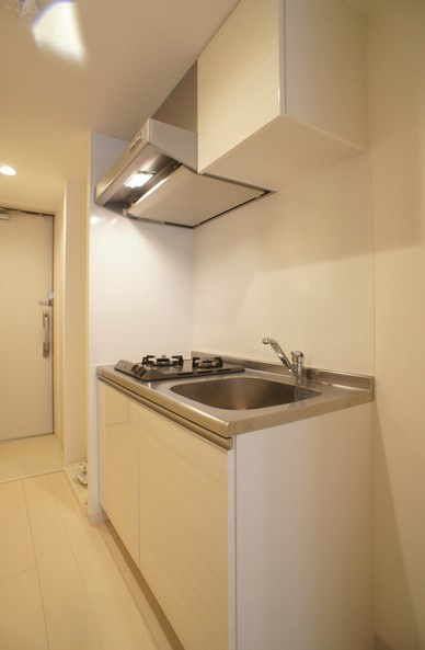 川崎市多摩区堰２丁目の賃貸マンションのキッチン