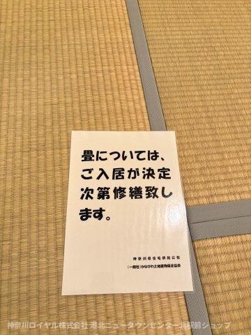 【その他】